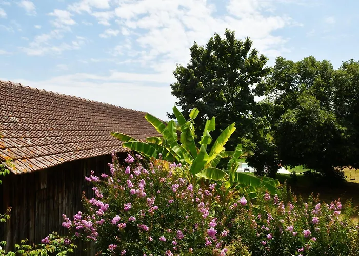 Les Bergeronnettes - Chambres D'Hotes Bergerac