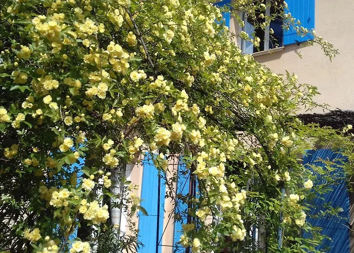 Les Chardons Bleus