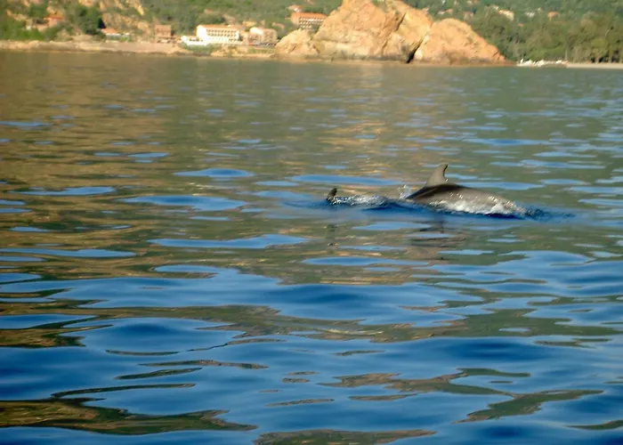 Capo D'Orto - Porto - Corse