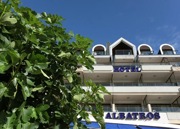 Albatros