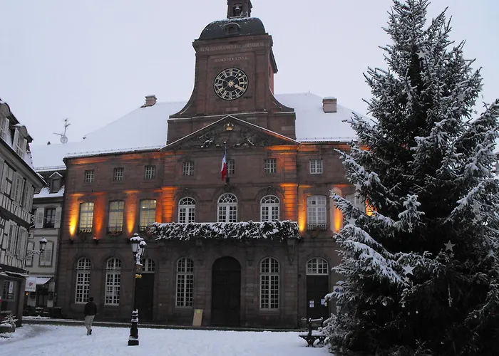 Hotel D'Alsace Wissembourg