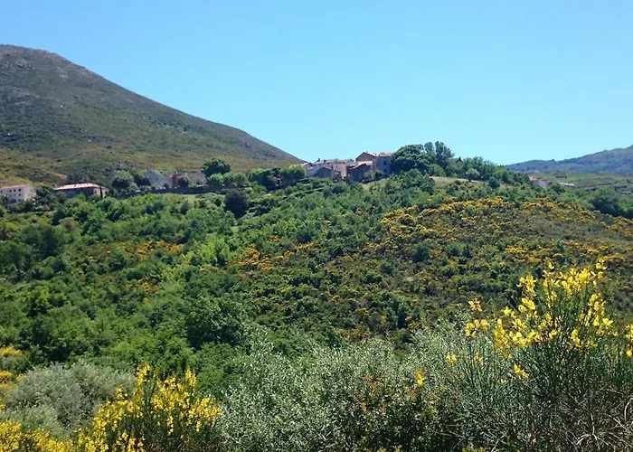 Hôtel U Nebbiu