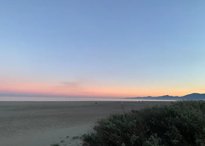 Le Regina Hotel Et Restaurant Canet-Plage
