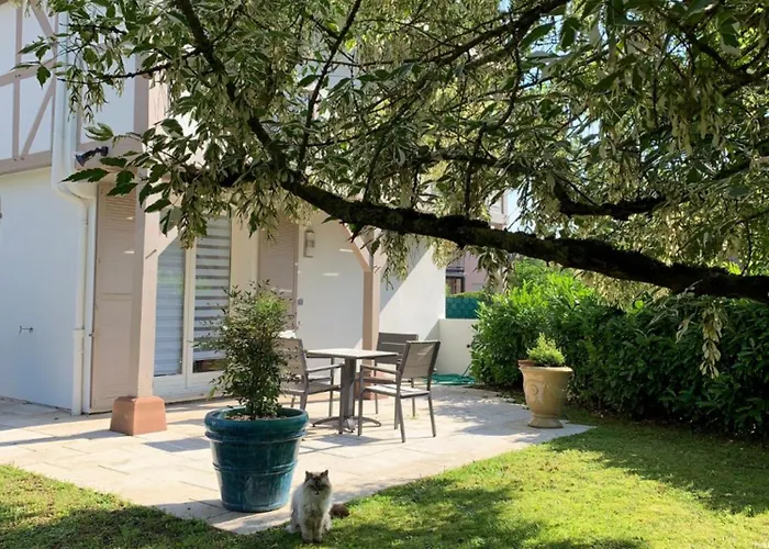 Chambres et SPA