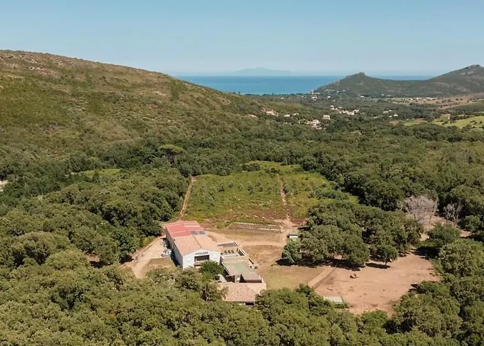 Domaine de Murticcia La distillerie