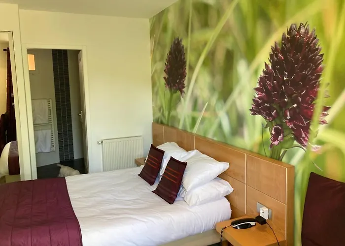 Logis Hotel Restaurant Le Bellevue