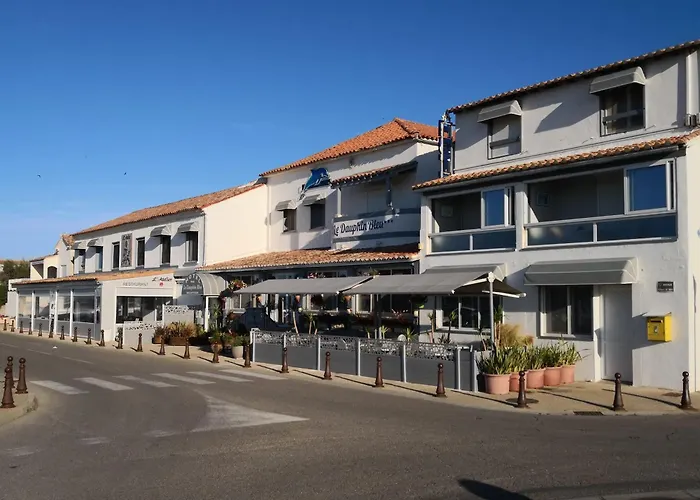 Hotel Le Dauphin Bleu