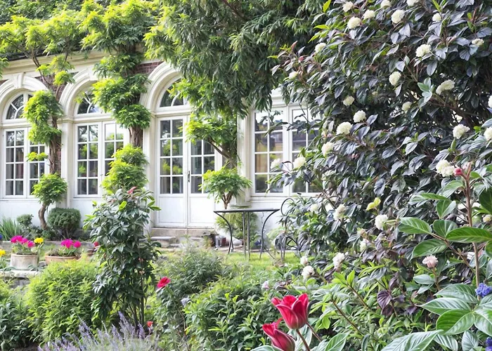 L'Orangerie White-Palacio