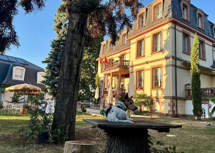 Hotel Le Manoir Barr
