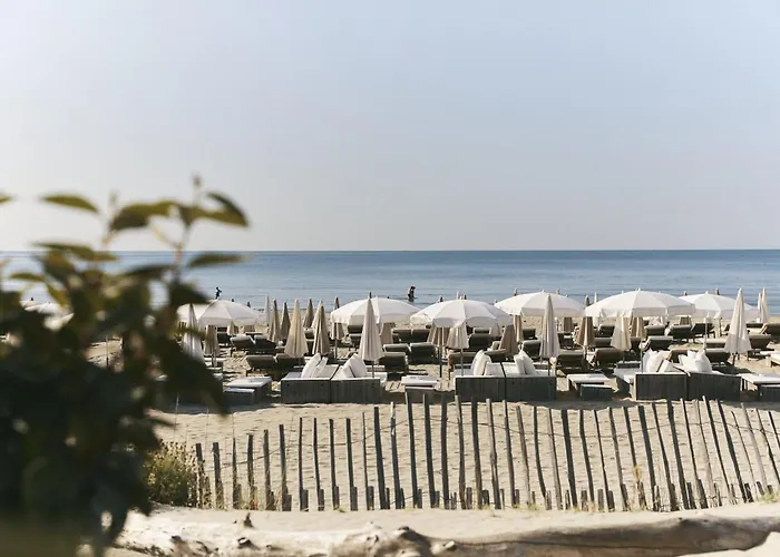 Hôtel Plage Palace&Spa