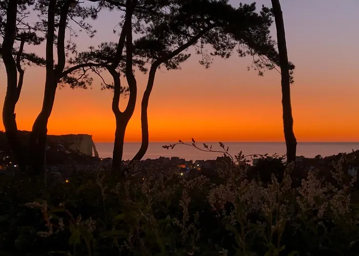 Domaine Saint Clair - Le Donjon