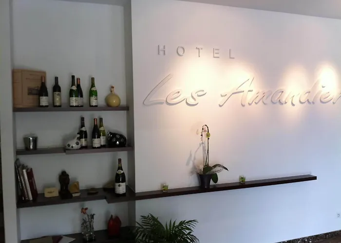 Hotel Les Amandiers