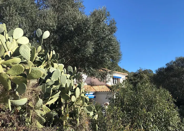 Residence Hoteliere A Trama