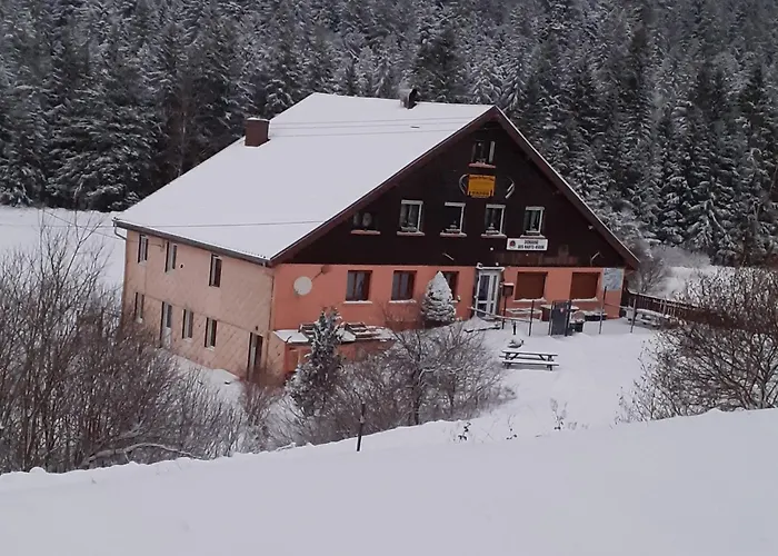 Domaine Des Hauts Viaux