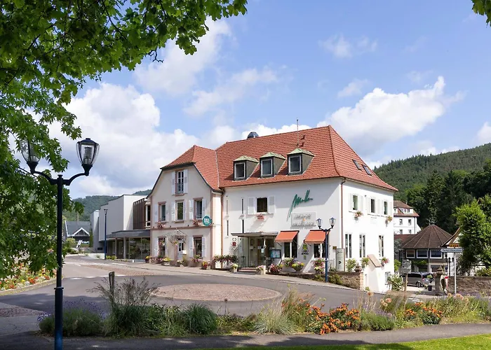 Logis Hotel Restaurant Muller Niederbronn-les-Bains