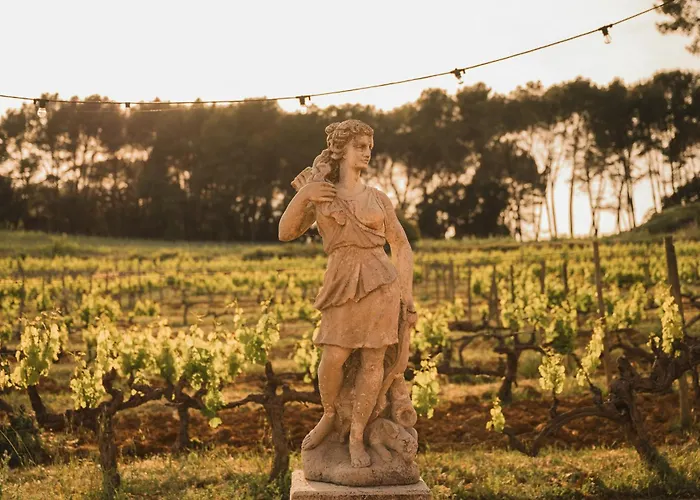 Domaine Rabiega - Vineyard&Boutique hotel
