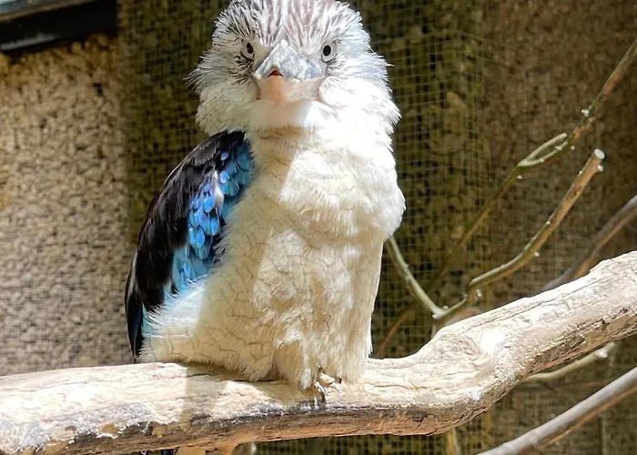 Suite Touraco, balnéo, terrasse - Parc des Oiseaux