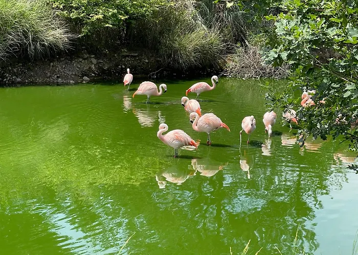 Suite Touraco, balnéo, terrasse - Parc des Oiseaux