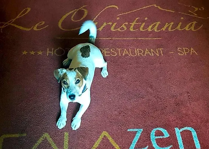 Logis Hotel Et Spa Le Christiania