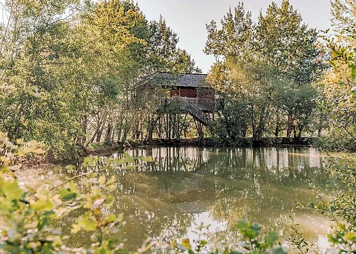 Cabanes Perchees Dans Les Arbres