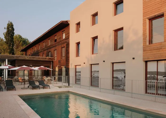 Greet Le Teich Bassin Arcachon
