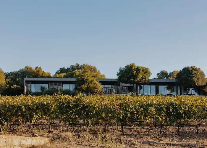 Domaine De Peretti Della Rocca