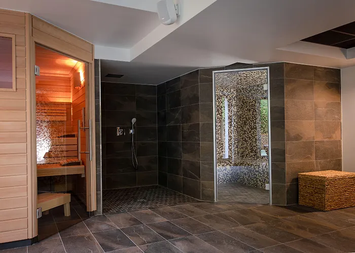 Europe Hotel Haguenau Strasbourg Nord