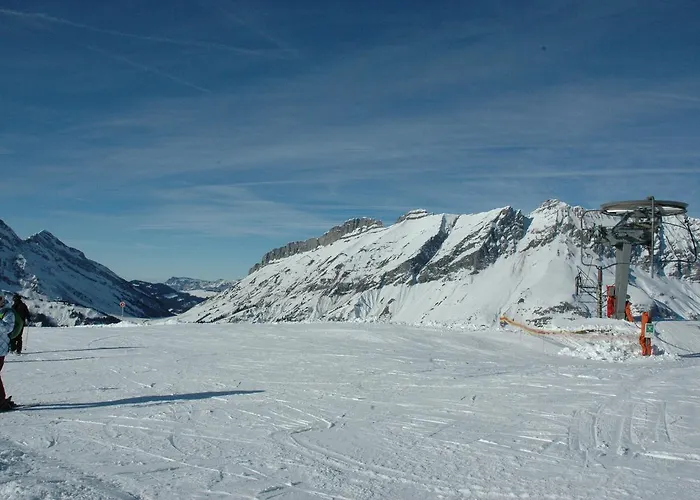 Hôtel Flor'Alpes
