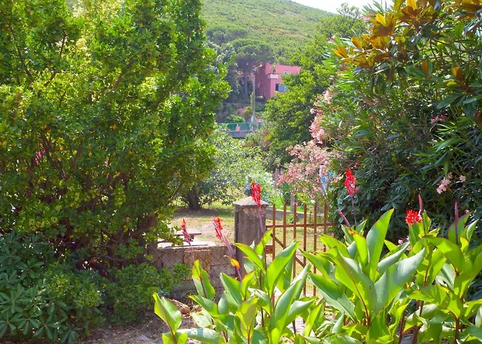 Hotel Macchia E Mare