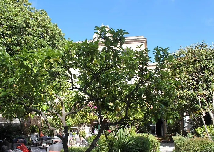Hôtel Les Palmiers Saint-Tropez